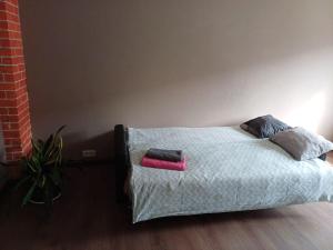 Inzenieru 77 apartment