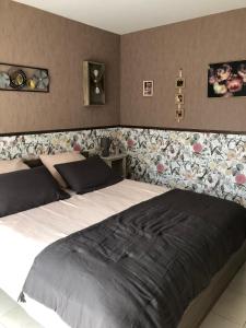 Villas Grande maison dans les Pyrenees : photos des chambres