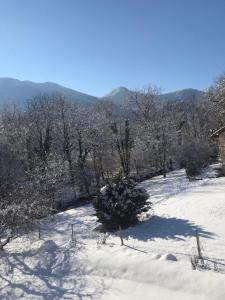 Villas Grande maison dans les Pyrenees : photos des chambres