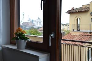 Studio Cardello Colosseum