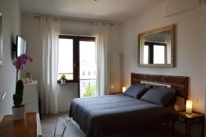 Studio Cardello Colosseum