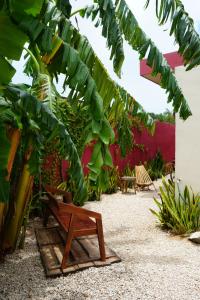 Casa Parea