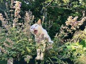 Rågelejes Oasis - Coastal Home with Wood Burning Sauna