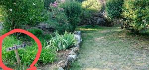 Maisons de vacances Gite en Cevennes du sud, bergerie restauree au rez de jardin d'une bastide avec piscine a debordement, vue exceptionnelle, authenticite, confort, repos assure au coeur de la nature : photos des chambres