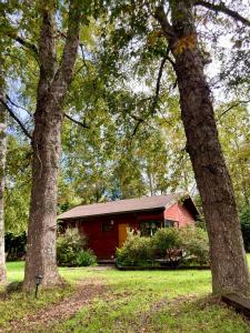 Cabaña entre árboles - Ubytování bez kategorie ve městě Valdivia