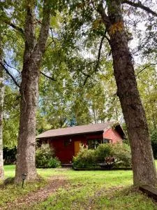Cabaña entre árboles - Caucau