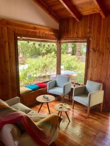 Cabaña entre árboles