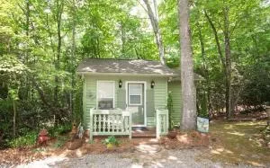 Bee's Knees - Scaly Mountain