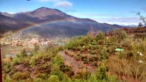 Tiny Kiki San Francisco - Las Cuevas