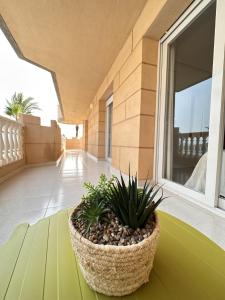 La Manga - Castillo de Mar 1A - Mar menor