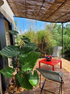 Villas Villa provencale a Arles avec piscine privee et vue jardin. : photos des chambres