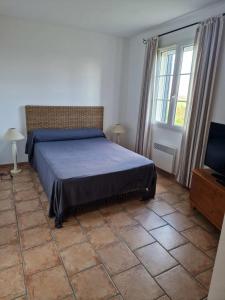 Villas Villa provencale a Arles avec piscine privee et vue jardin. : photos des chambres