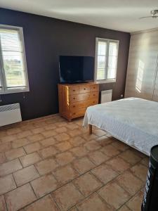 Villas Villa provencale a Arles avec piscine privee et vue jardin. : photos des chambres