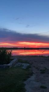 Villas Villa provencale a Arles avec piscine privee et vue jardin. : photos des chambres
