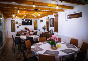 Green Panorama Relax Concept