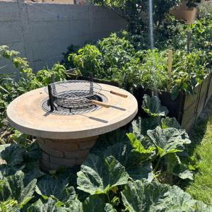 Neuhercz Apartmanok Halászi