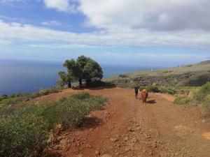 Ferienhaus Finca Sonrisa
