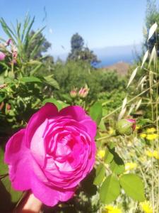 Ferienhaus Finca Sonrisa