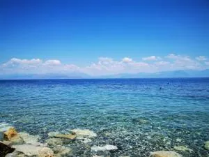 Dimos Apartments - Synikia Mesi Trikalon