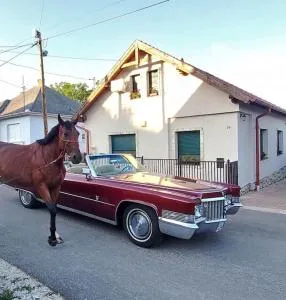 Lórájder Vendégház - Bekölce