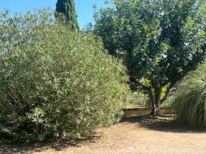 Guest garden apartment Casale salici BARATTI