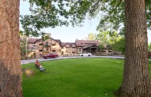 Cumberland Falls State Resort Park - Honeybee
