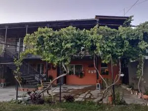 Akhaltsikhe hotel “Sunny House” - 阿巴斯图马尼