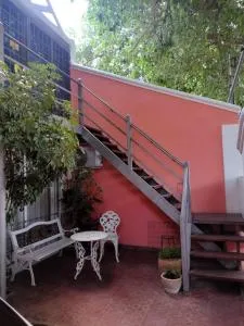 Colibrí Andino - La Cieneguita