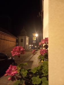 Apartament w Kamienicy