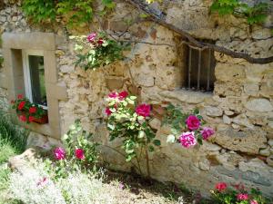 Maisons de vacances Gite de Fontepaisse : photos des chambres