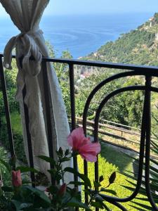 Agriturismo Orrido di Pino