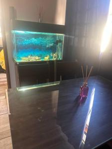 Aconchegante refúgio no coração da cidade