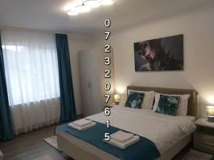 Luxury Runk House - Valea Seacă