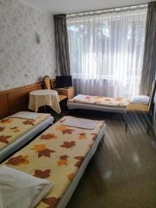 Ośrodek Wypoczynkowy HALIN