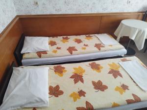 Ośrodek Wypoczynkowy HALIN