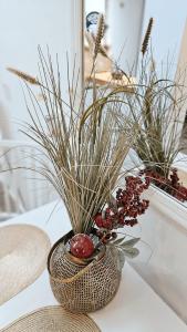 Dorcol deluxe apartment