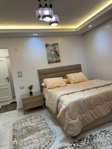 شقة فندقية على النيل