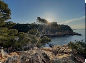 Appartements « L’Observatoire » 6 personnes : photos des chambres