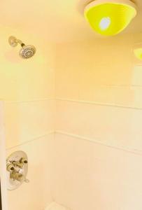 Catskill Cabin Apres Ski