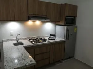 Departamento Ciudad del Valle C - Tepic