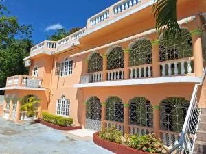 The New Mount Pleasant JA - Penny Cooks