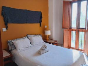 Casa Victoria Vista al mar 2 blocks Malecon with Rooftop