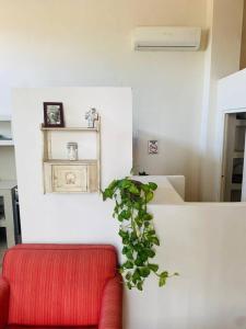 Casa Acuario 2 blocks Malecon with Rooftop