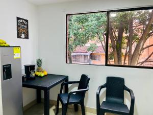 explora la magia de laureles