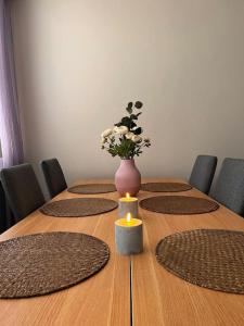 Cozy apartment near Santa Village w free parking