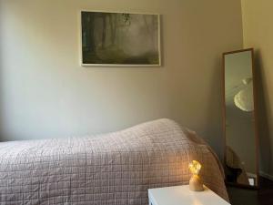 Cozy apartment near Santa Village w free parking