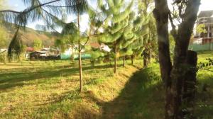 Linda casa rodeada de naturaleza