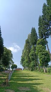 Snow Princess Mountain Glamping Resort at Clubbali,Lembang