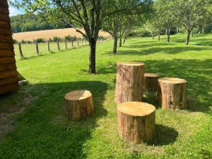 Les cabanes au revers du noitel