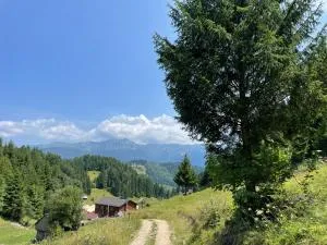 Andolia - Мойечу-де-Сус